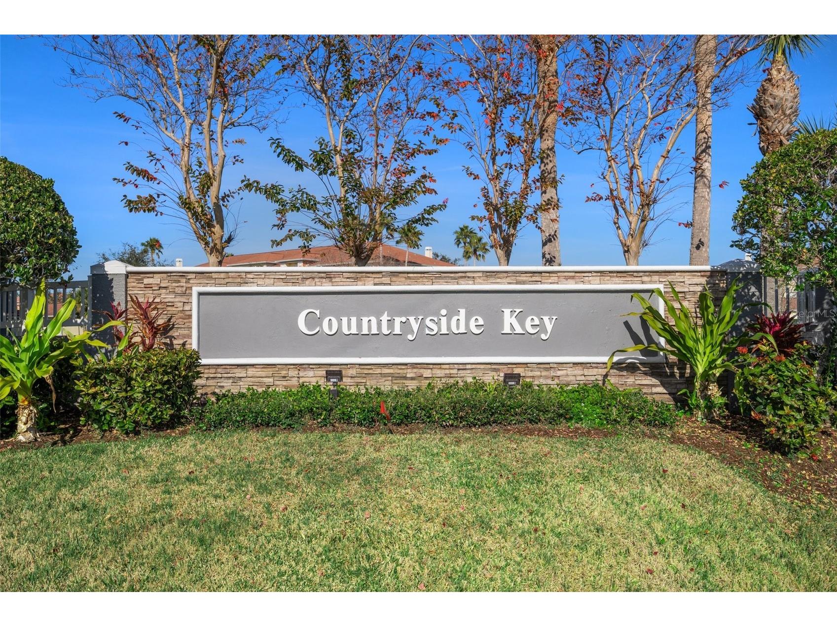 388 Countryside Key Boulevard Oldsmar FL 34677 TB8478422 image29