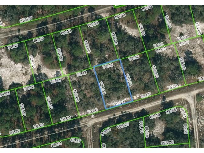 388 Crown Drive Lake Placid FL 33852 OM623436 image1