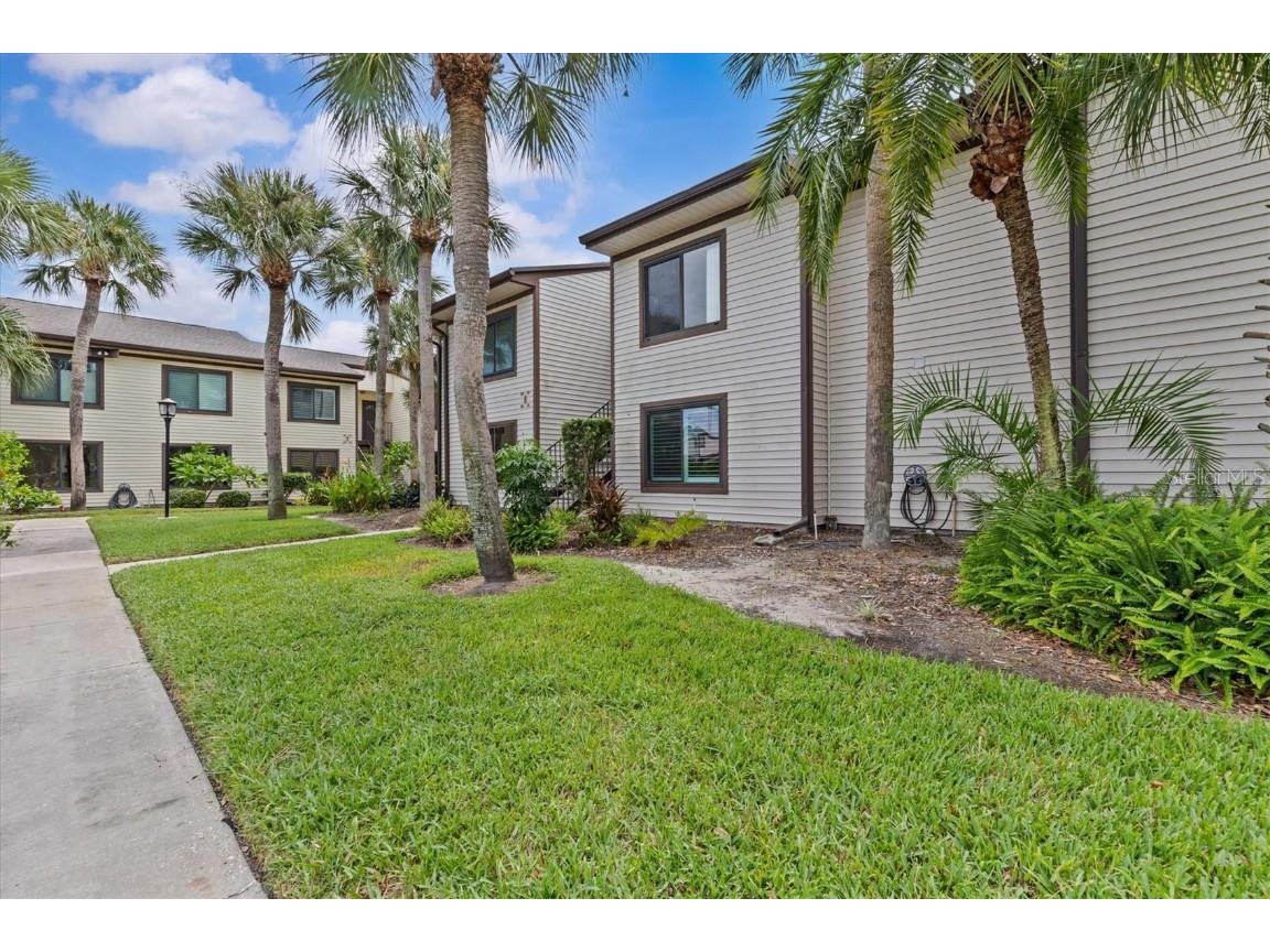 388 Moorings Cove Drive #6E Tarpon Springs FL 34689 TB8435262 image2