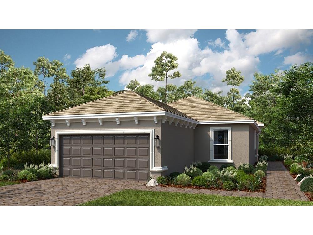 3880 Consolare Court Wesley Chapel FL 33543 TB8430831 image1