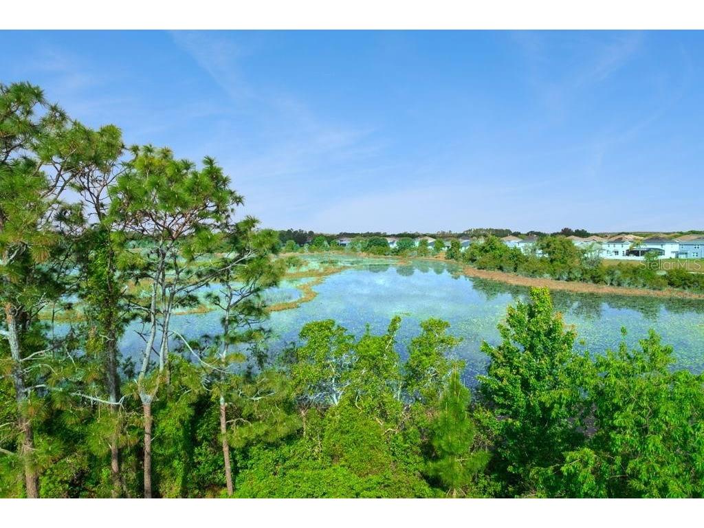 3880 Fescue Street Clermont FL 34714 O6394835 image2