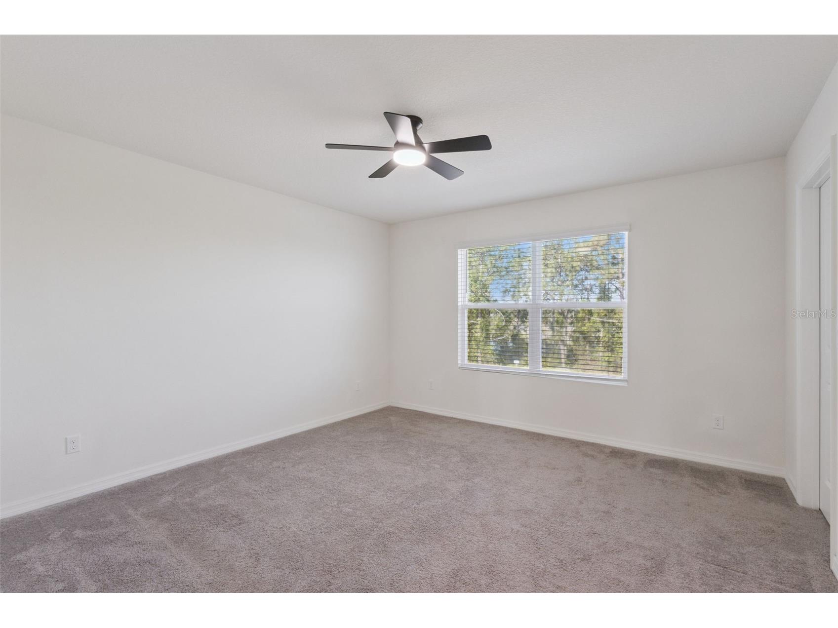 3880 Fescue Street Clermont FL 34714 O6394835 image57