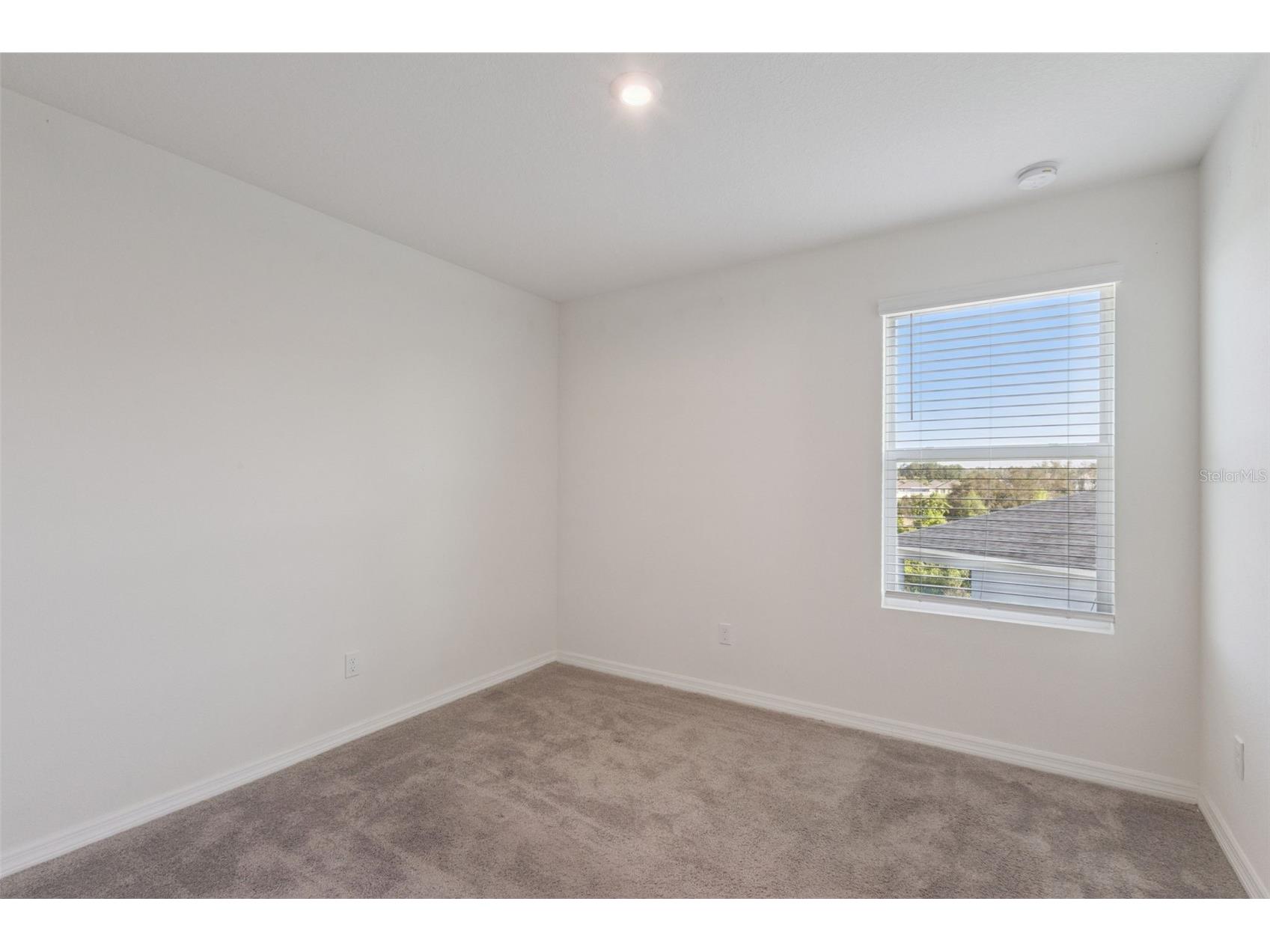 3880 Fescue Street Clermont FL 34714 O6394835 image58