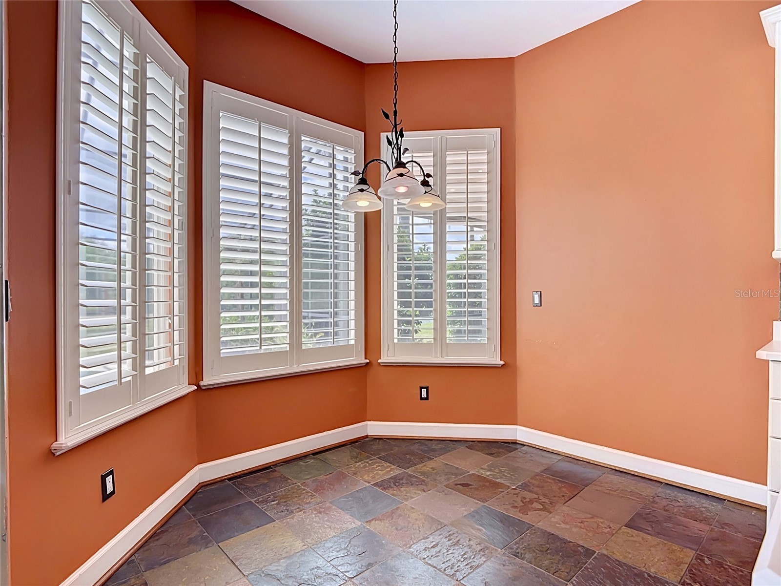 3880 Hunters Isle Drive Orlando FL 32837 S5148963 image16