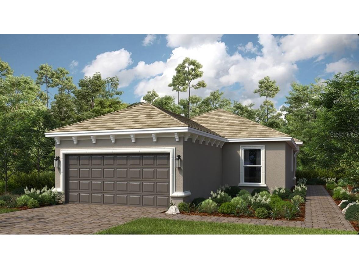 3880 Immacolata Way Wesley Chapel FL 33543 O6421293 image1