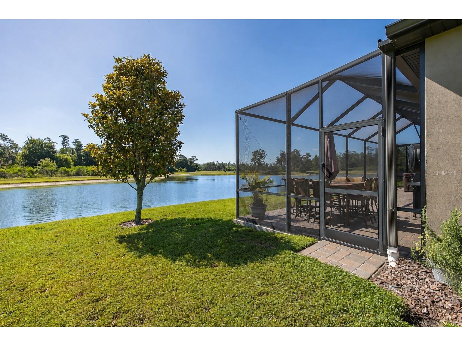 3880 Mellon Drive Odessa FL 33556 W7885923 image43