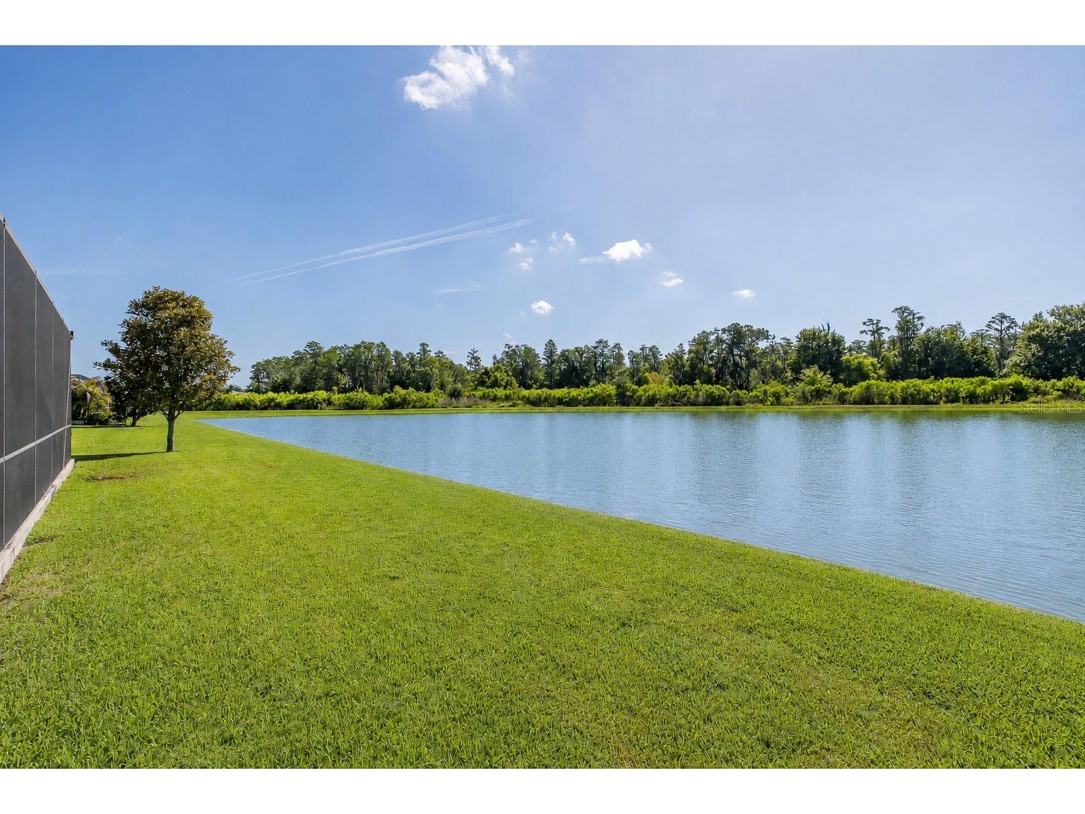 3880 Mellon Drive Odessa FL 33556 W7885923 image49