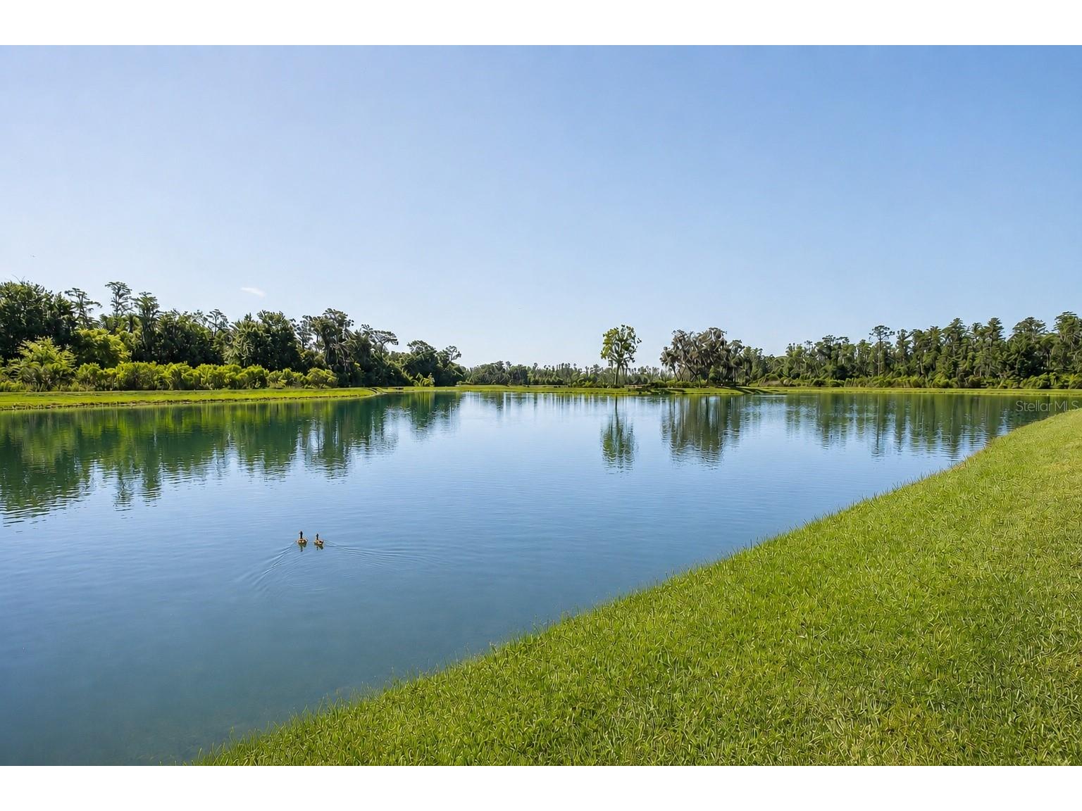 3880 Mellon Drive Odessa FL 33556 W7885923 image50