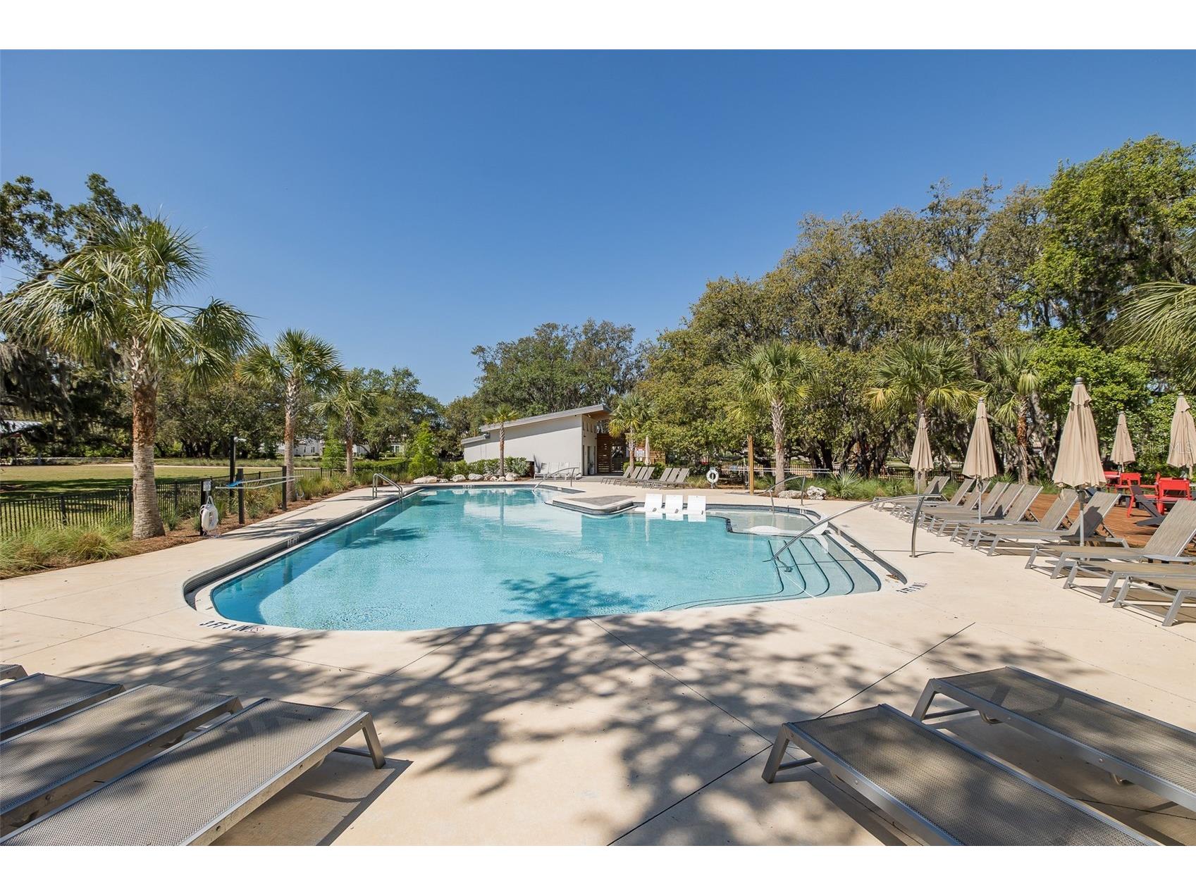 3880 Mellon Drive Odessa FL 33556 W7885923 image53