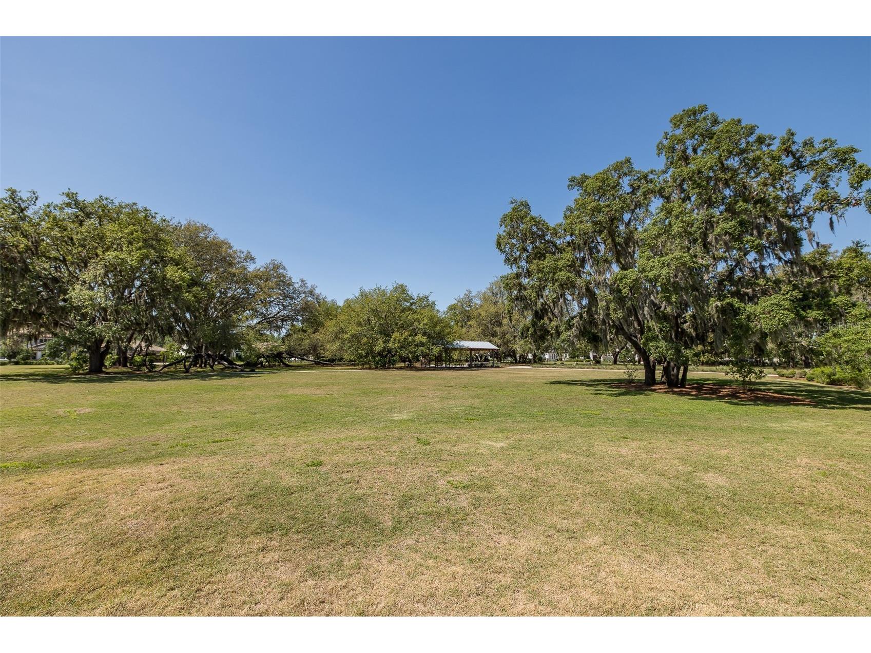 3880 Mellon Drive Odessa FL 33556 W7885923 image55