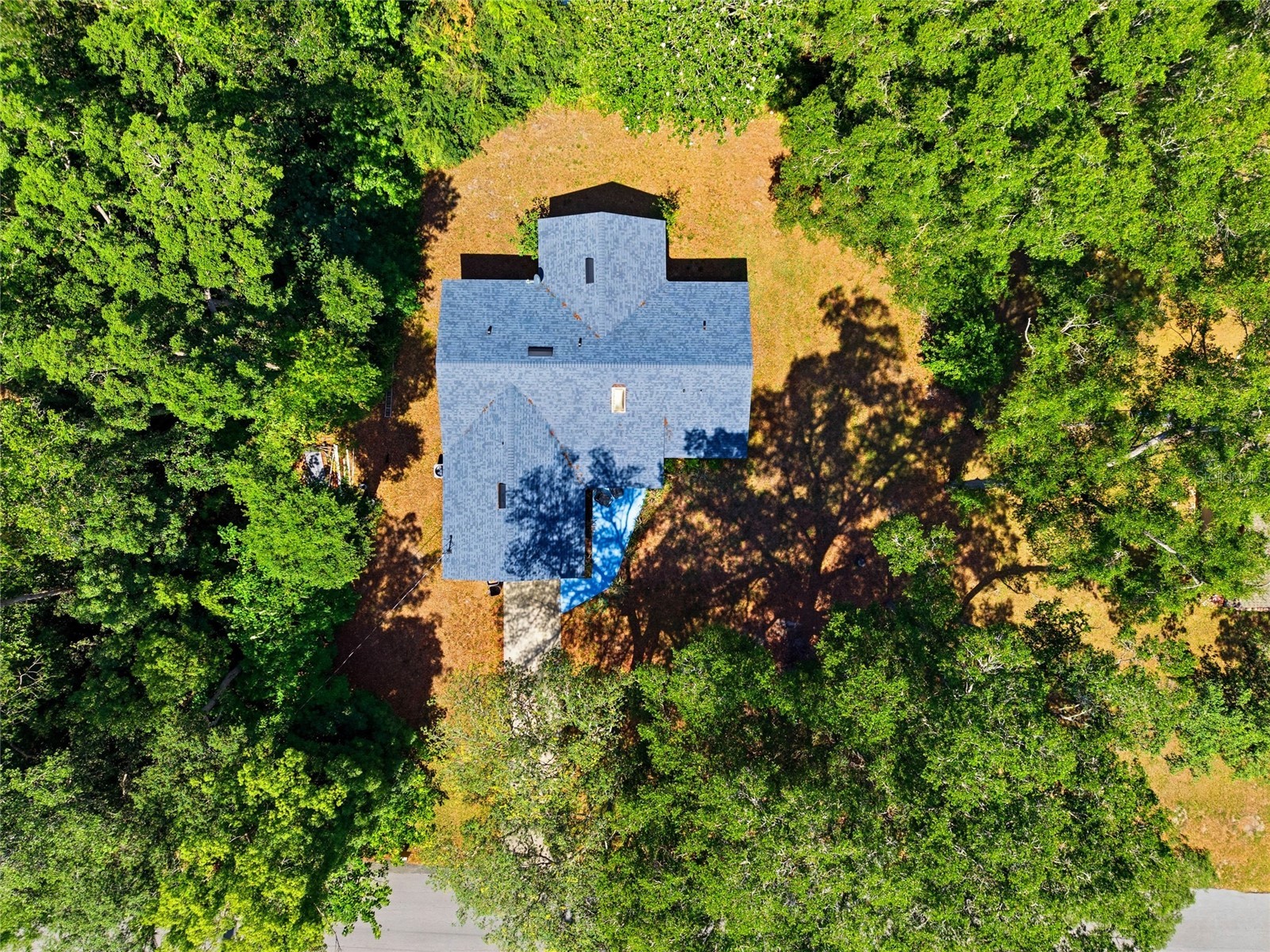 3880 NE 22nd Court Ocala FL 34479 OM723902 image39