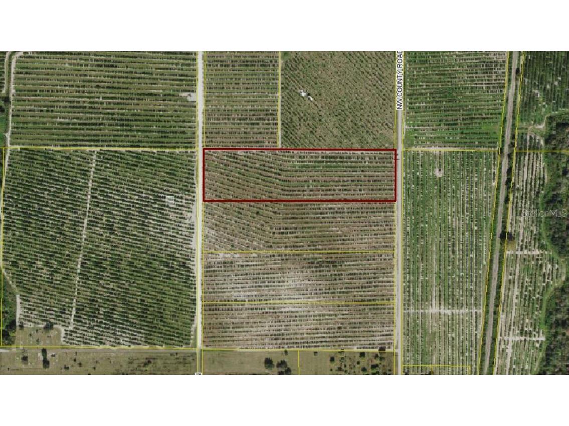 3880 NW Second Bunker Avenue Arcadia FL 34266 B4901310 image1