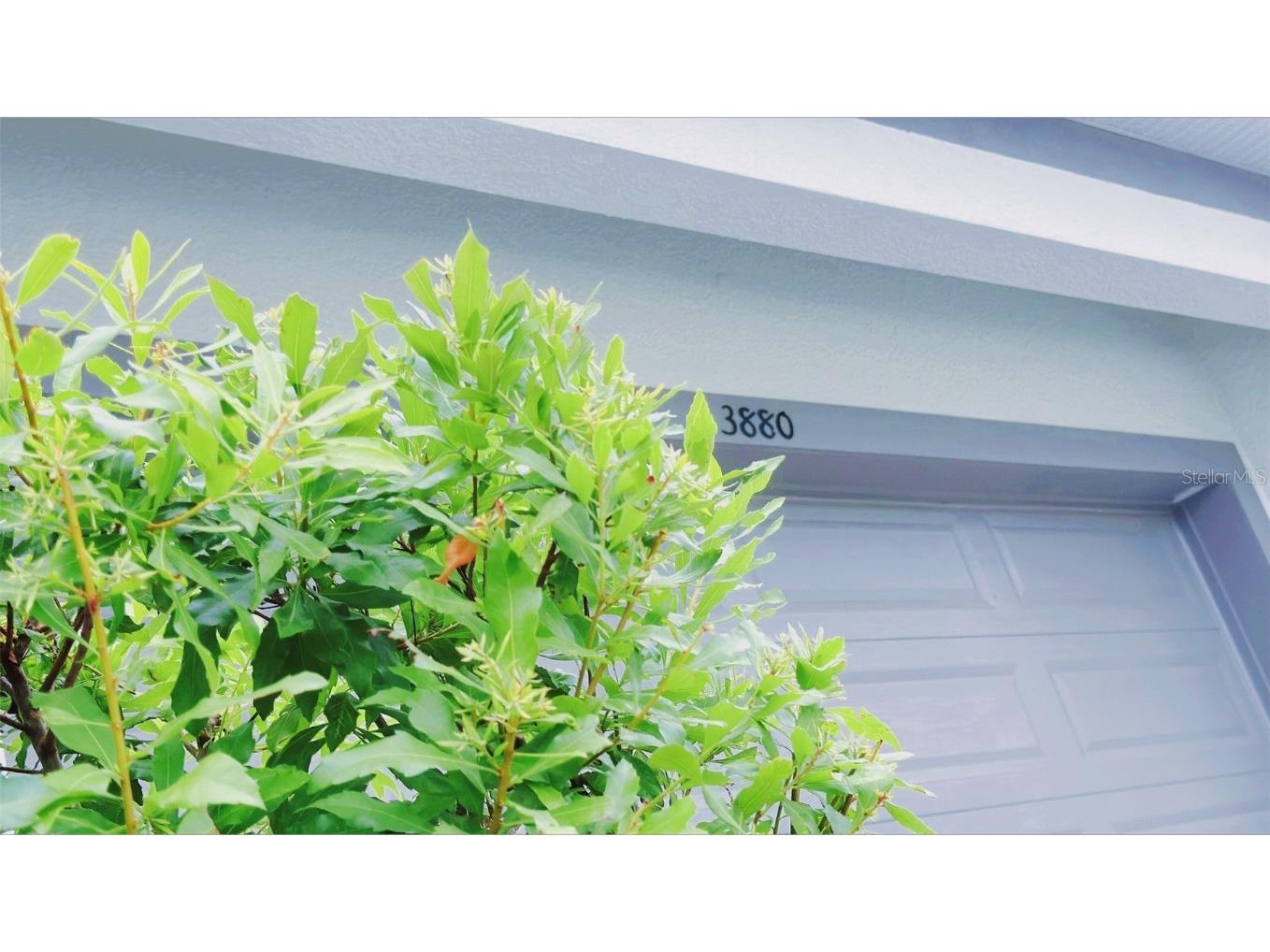 3880 Sonoma Boulevard Kissimmee FL 34741 O6310805 image7