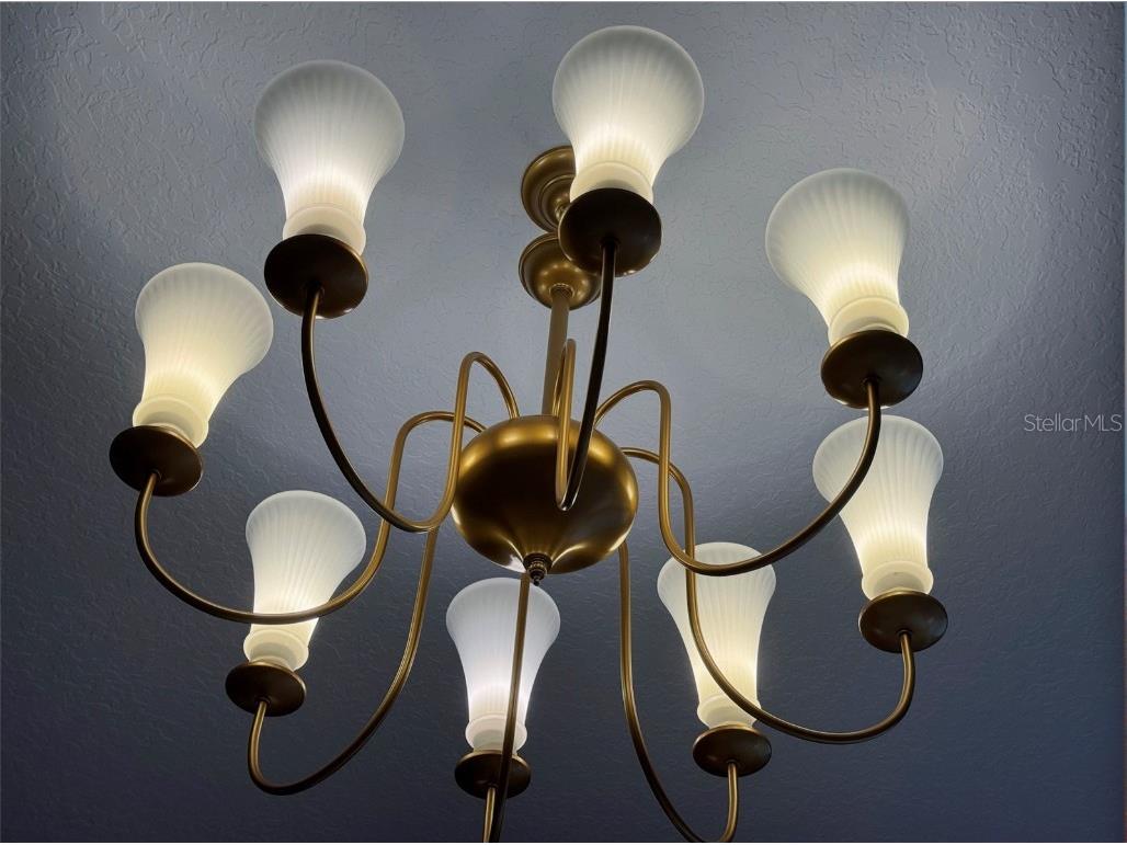 3880 Sonoma Boulevard Kissimmee FL 34741 O6310805 image86