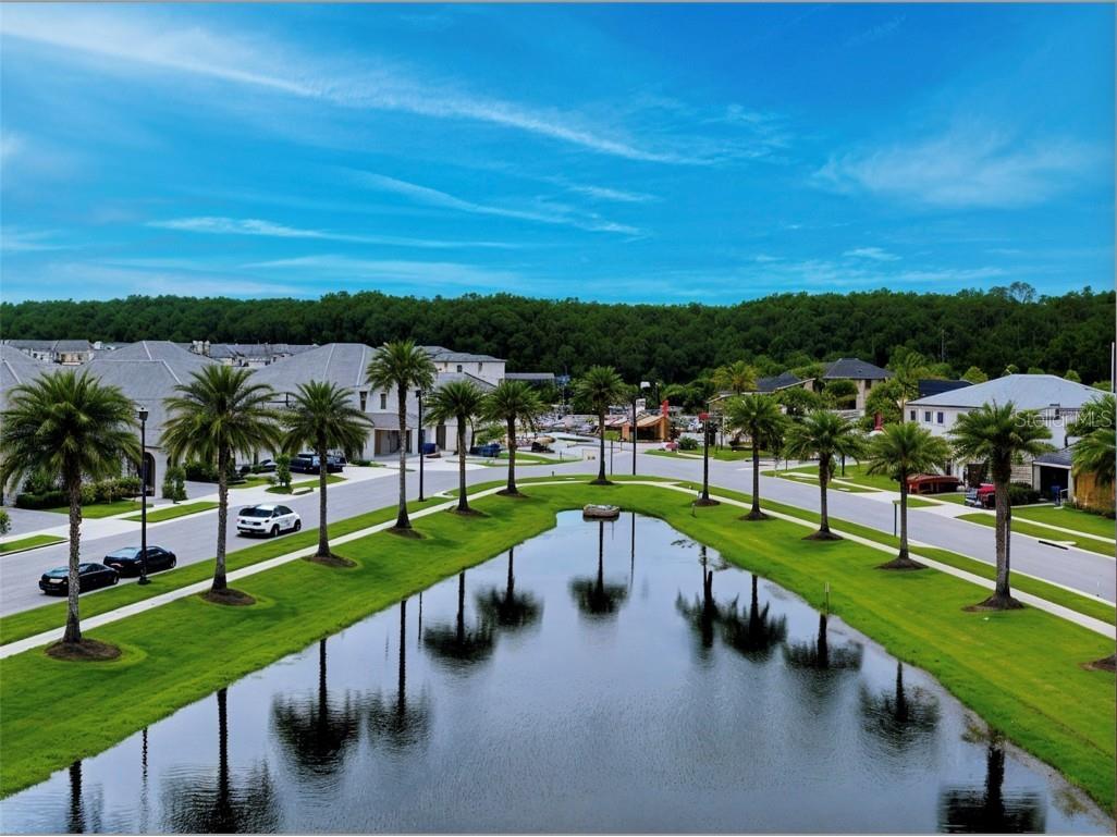 3880 Sonoma Boulevard Kissimmee FL 34741 O6310805 image98