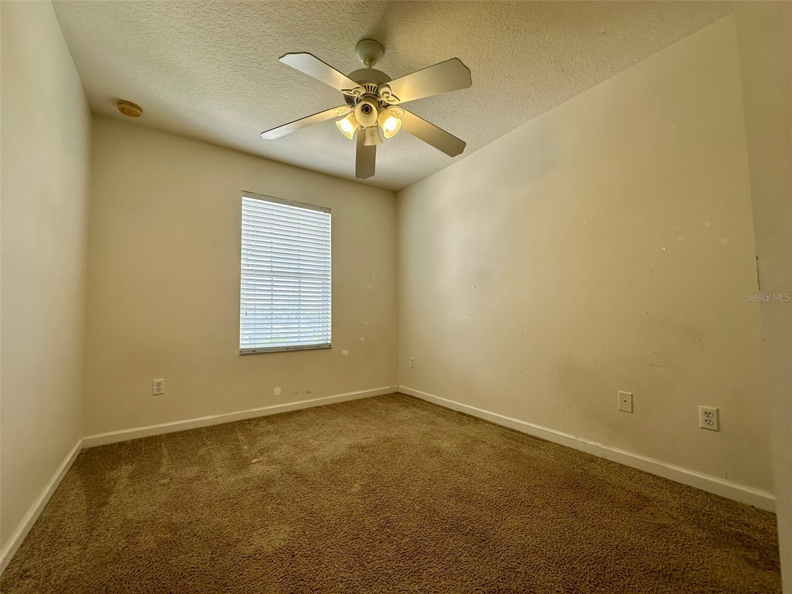 3880 White Birch Run Winter Springs FL 32708 O6427882 image14