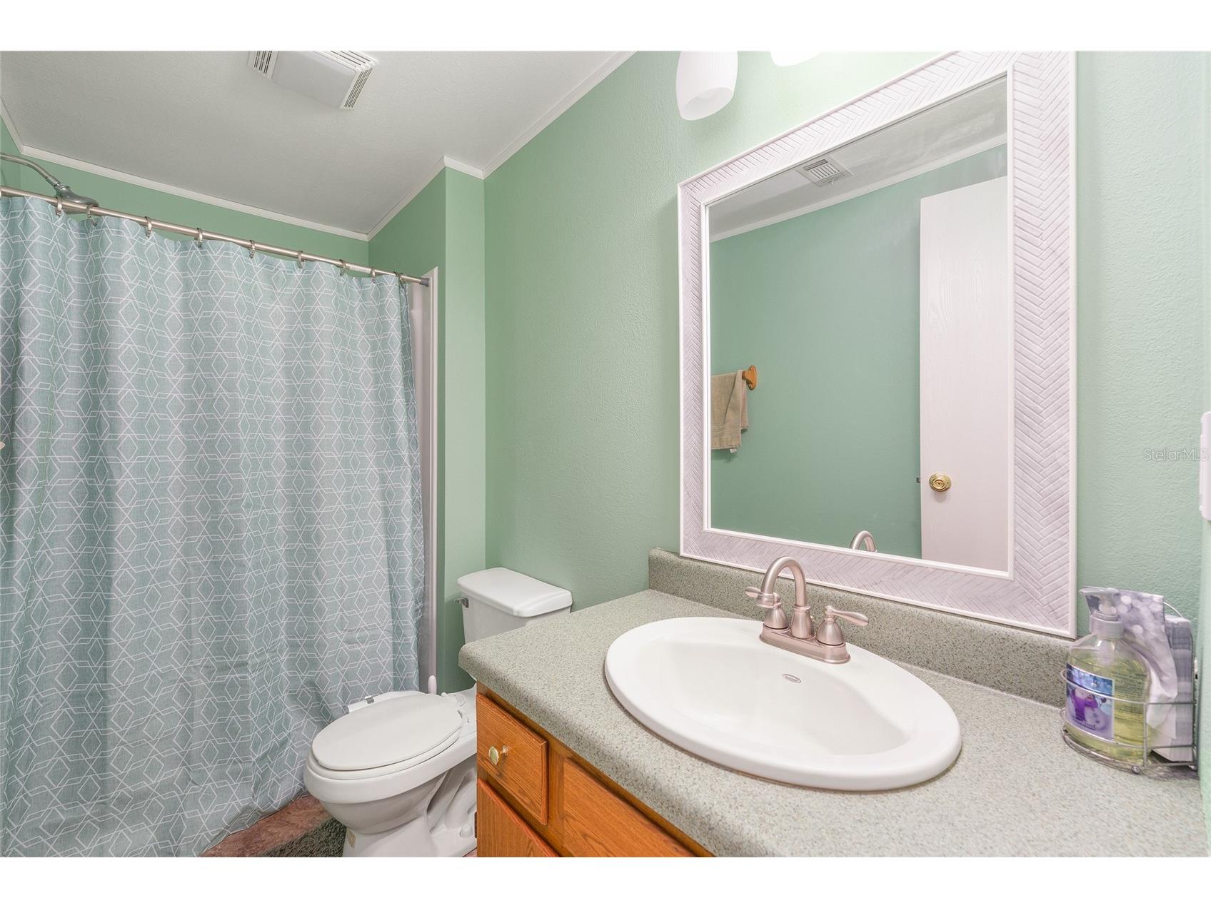 38805 Emeralda Island Road Leesburg FL 34788 G5109543 image20