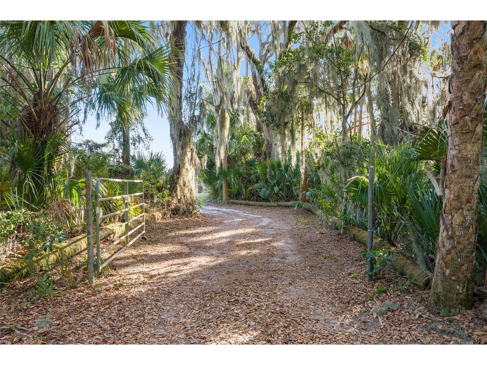 38805 Emeralda Island Road Leesburg FL 34788 G5109543 image27