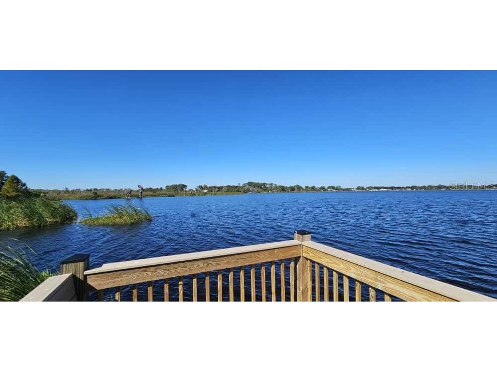 3881 Corsican Place Lake Alfred FL 33850 S5138767 image41