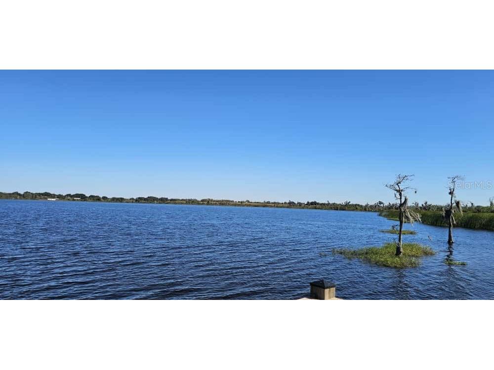 3881 Corsican Place Lake Alfred FL 33850 S5138767 image42