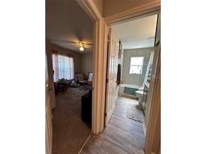 3882 Willow Ridge Drive Lakeland FL 33810 O6369186 image39