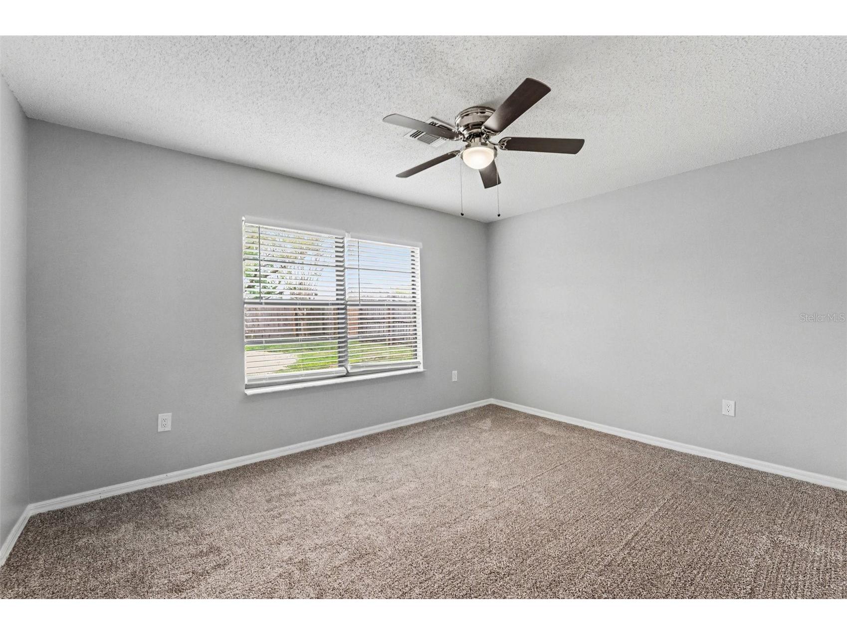 38820 Berta Drive Zephyrhills FL 33540 O6393486 image10