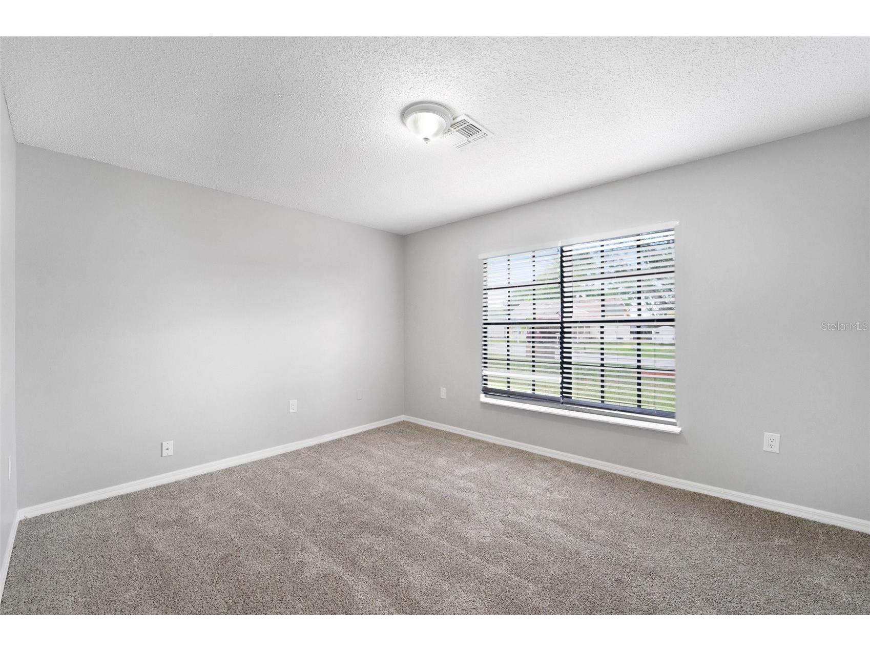 38820 Berta Drive Zephyrhills FL 33540 O6393486 image11