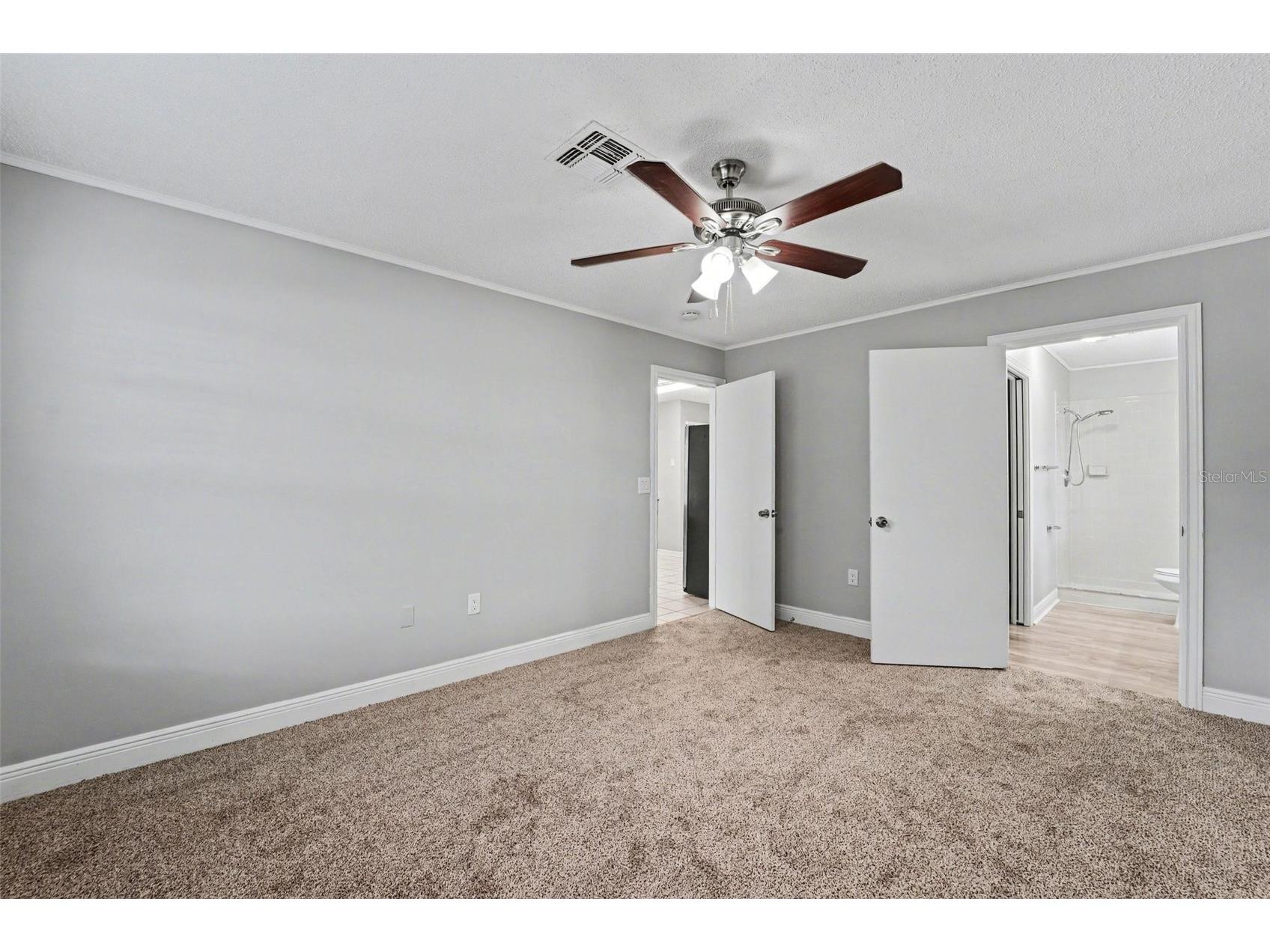 38820 Berta Drive Zephyrhills FL 33540 O6393486 image13