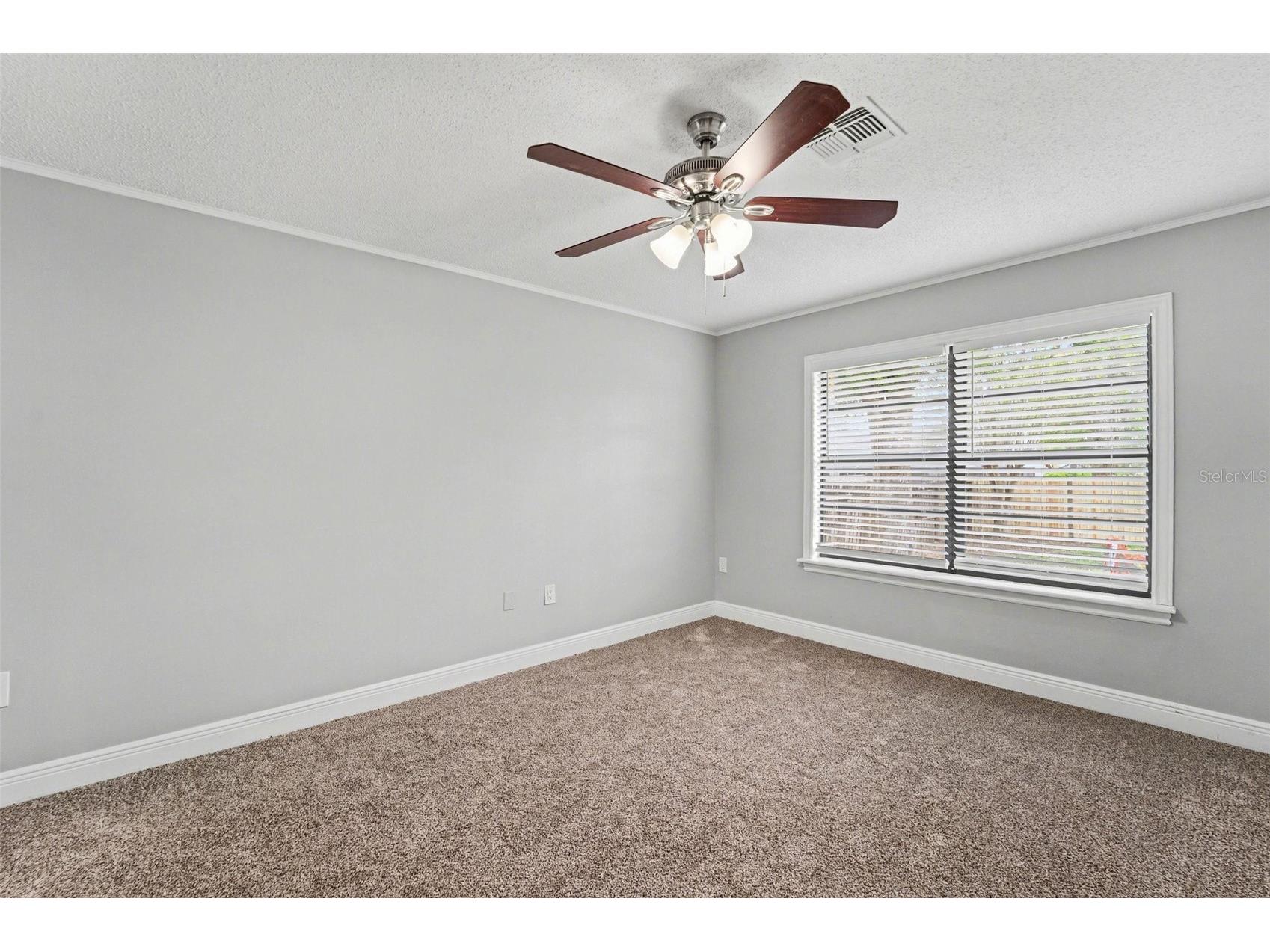 38820 Berta Drive Zephyrhills FL 33540 O6393486 image8