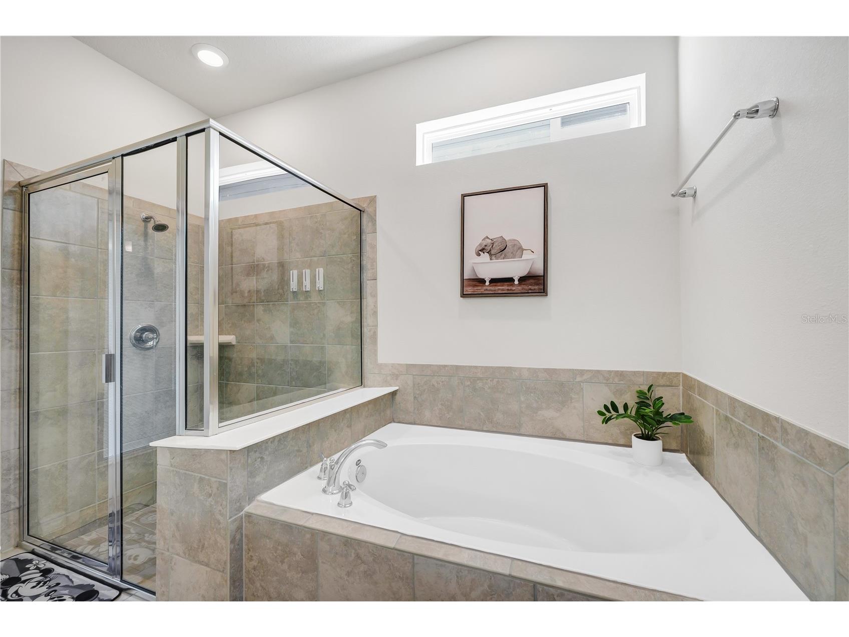 3883 Lana Avenue Davenport FL 33897 O6411602 image22