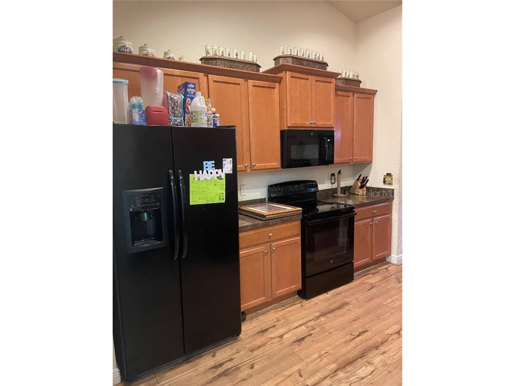 3883 SE 99th Street Belleview FL 34420 O6357749 image8