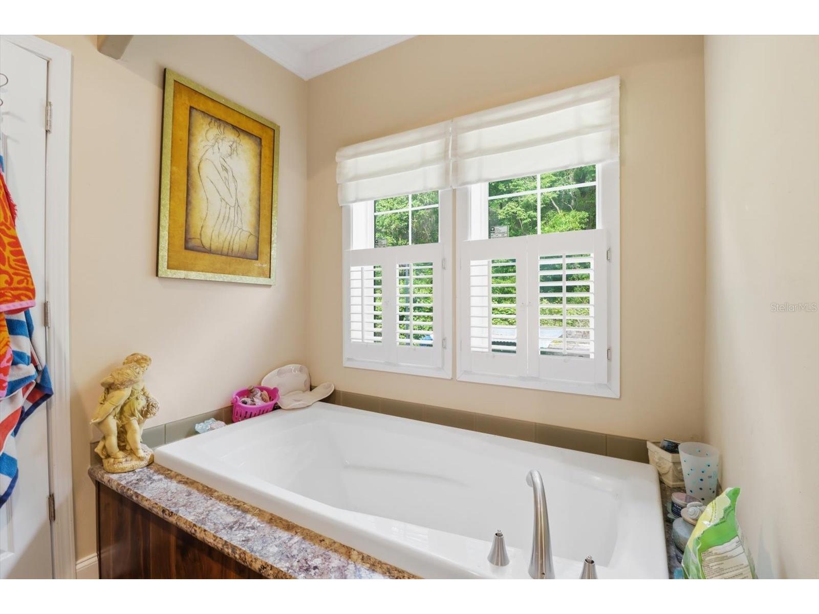 3883 SW 165th Avenue Road Ocala FL 34481 OM723751 image31