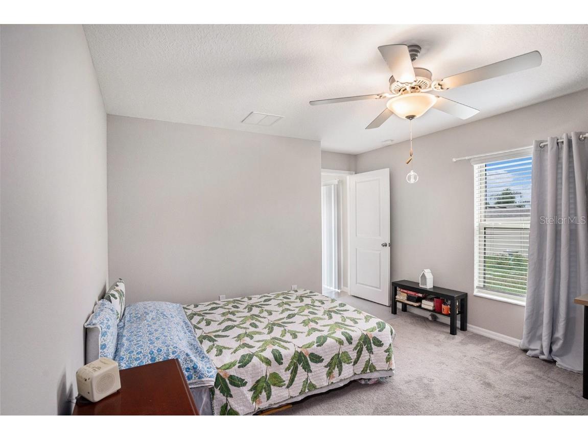 3884 Hanover Drive New Port Richey FL 34653 TB8438096 image18