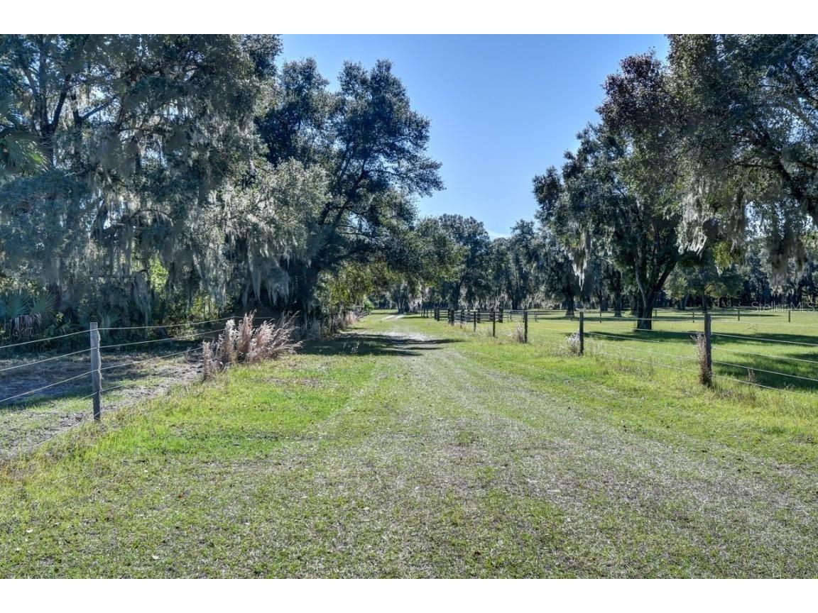 3885 Bird Dog Lane Deland FL 32724 - LAKE DAUGHARTY V4933372 image1