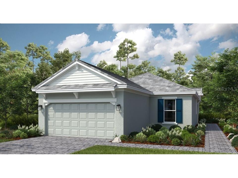 3885 Consolare Court Wesley Chapel FL 33543 TB8439953 image1