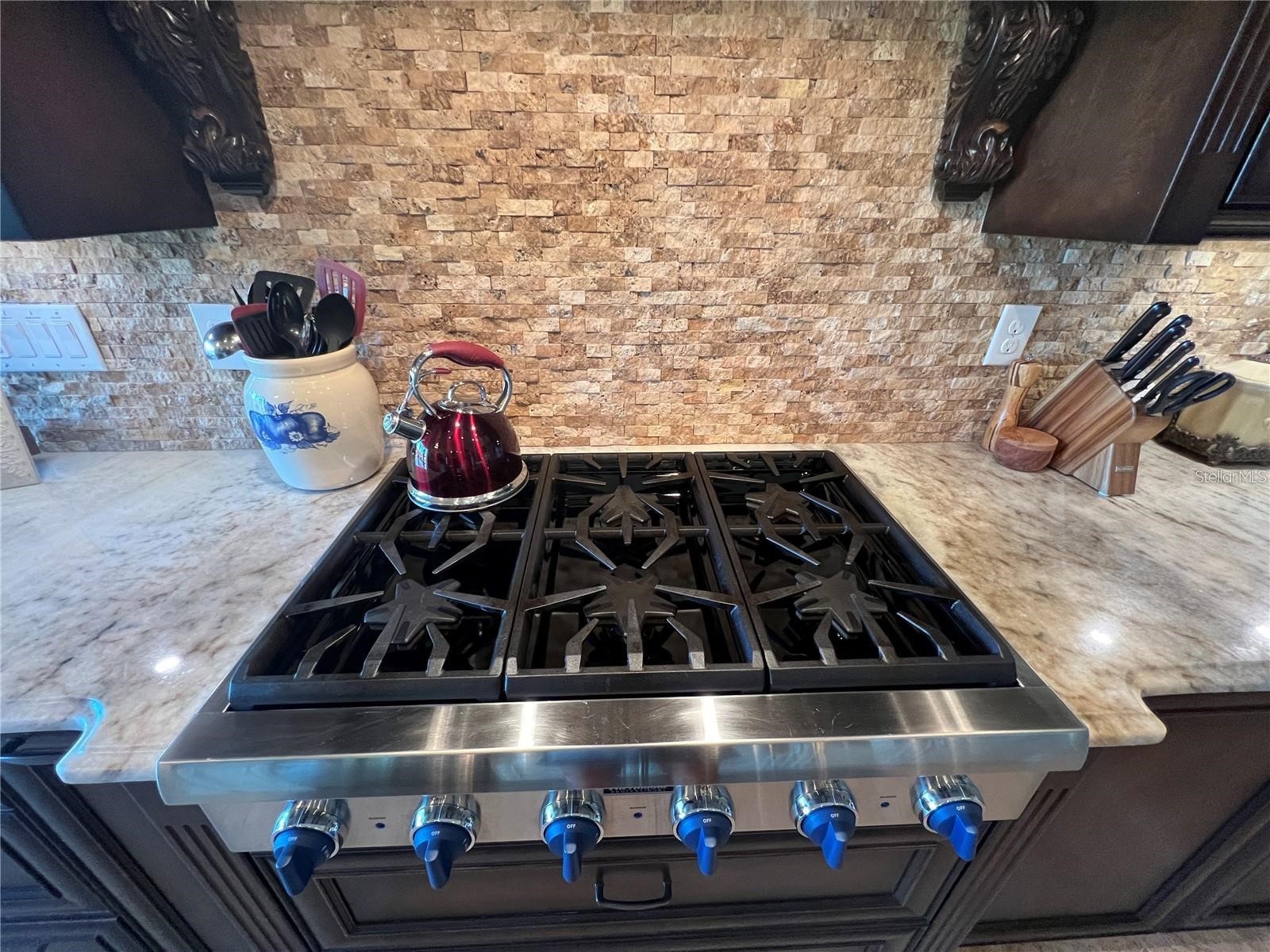 3885 W Stillwood Lane Lake Mary FL 32746 - Lake Mary O6410212 image15
