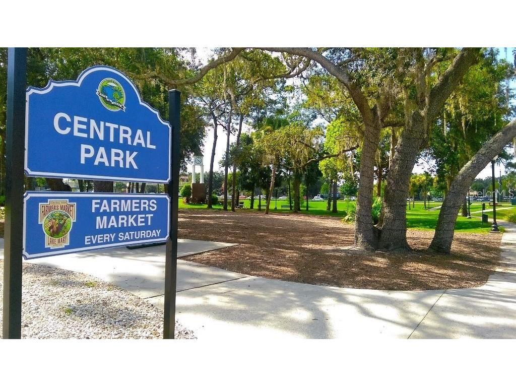3885 W Stillwood Lane Lake Mary FL 32746 - Lake Mary O6410212 image53