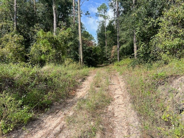 38851 Sumner Lake Road Dade City FL 33525 TB8310396 image1