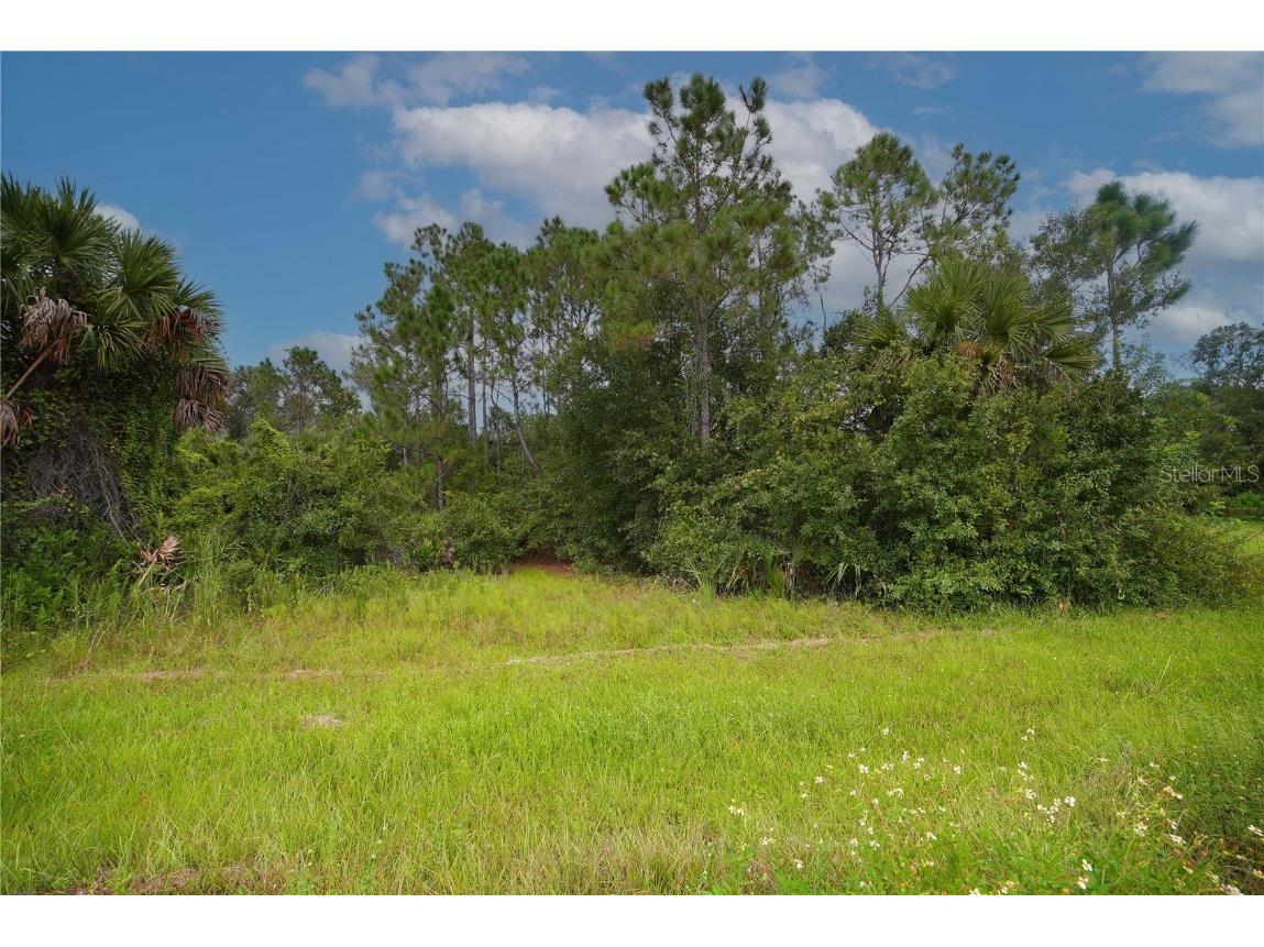 3886 NW 35th Avenue Okeechobee FL 34972 A4581598 image1