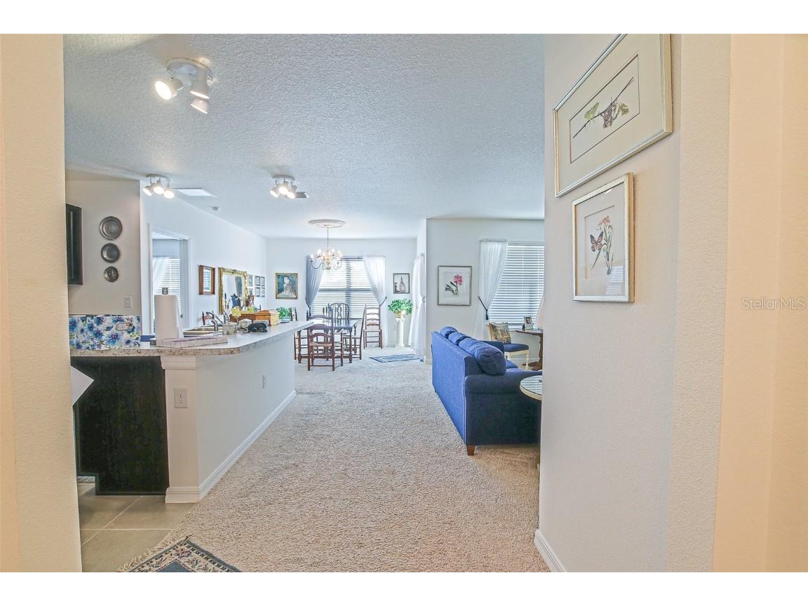 3886 SE 97th Lane Belleview FL 34420 OM716032 image32