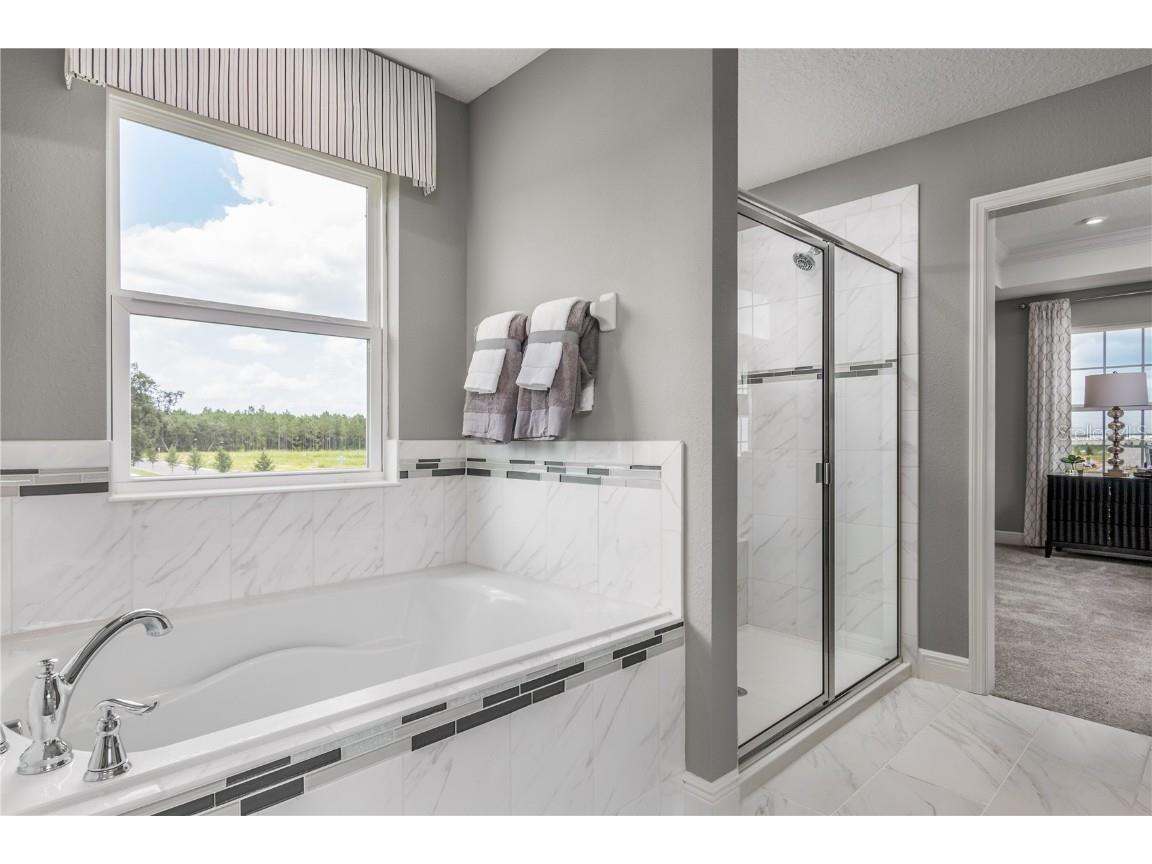 3887 Cuyahoga Valley Court Apopka FL 32712 W7881226 image14