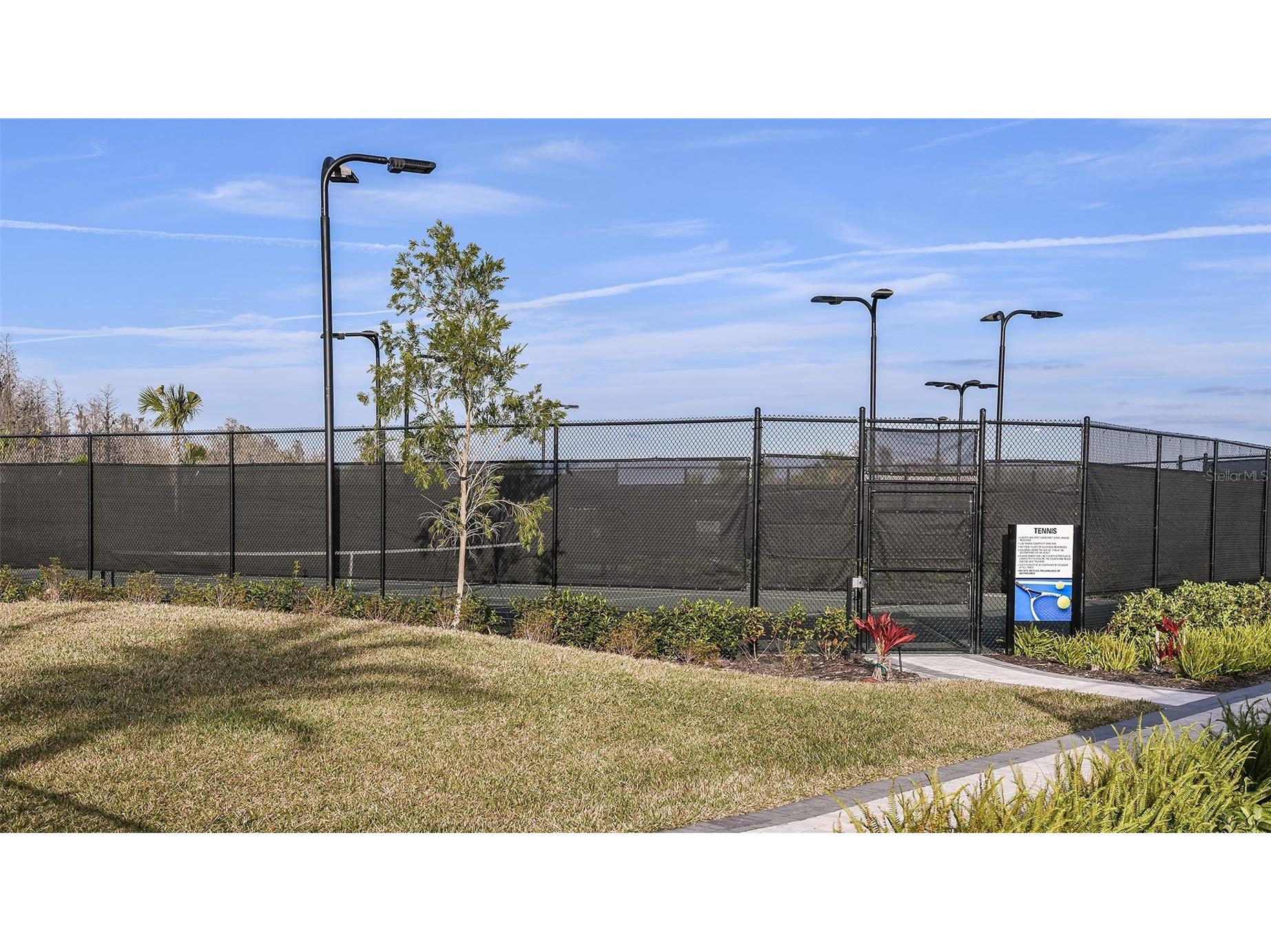3887 Immacolata Way Wesley Chapel FL 33543 TB8488255 image15