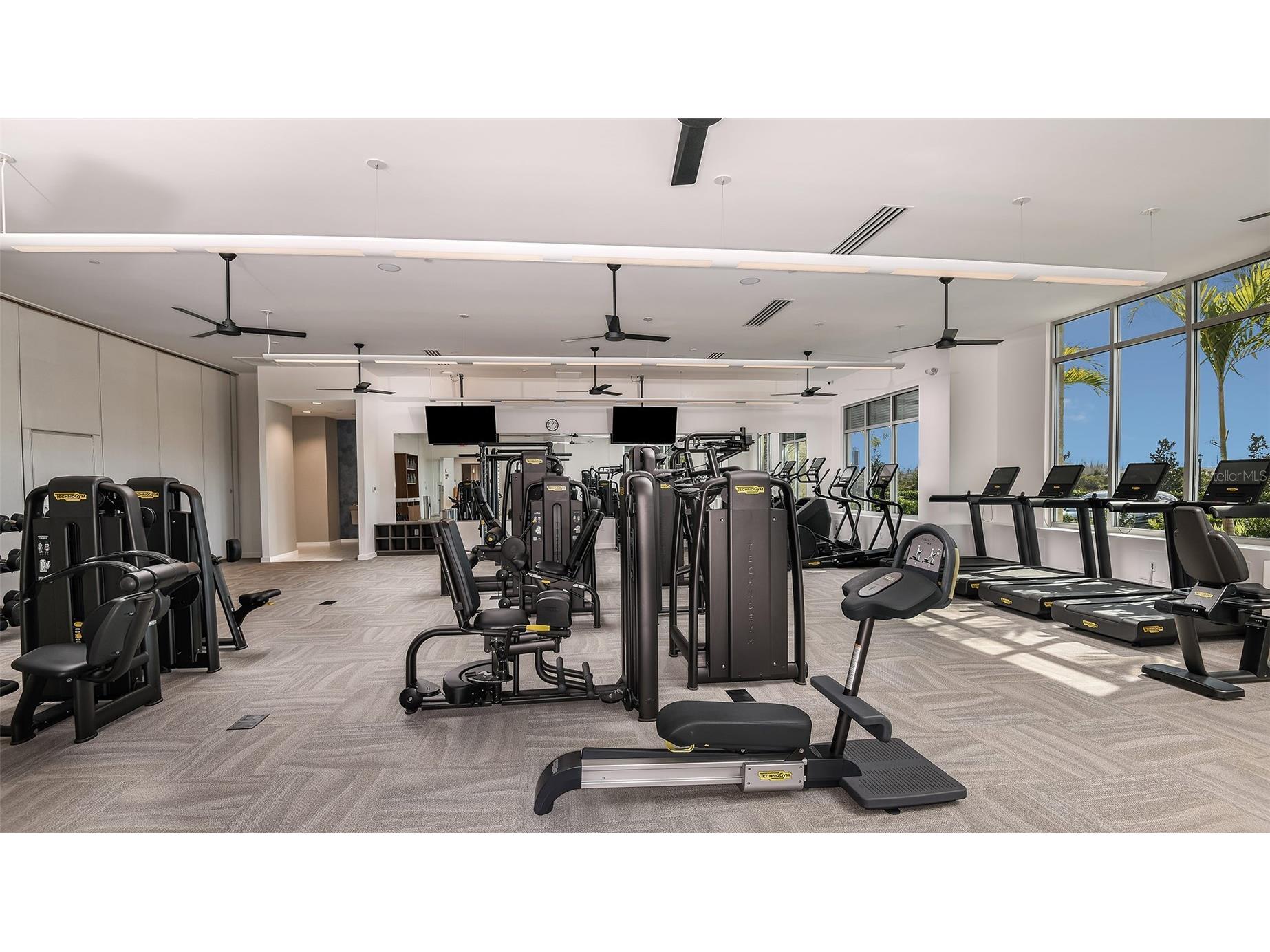 3887 Immacolata Way Wesley Chapel FL 33543 TB8488255 image28