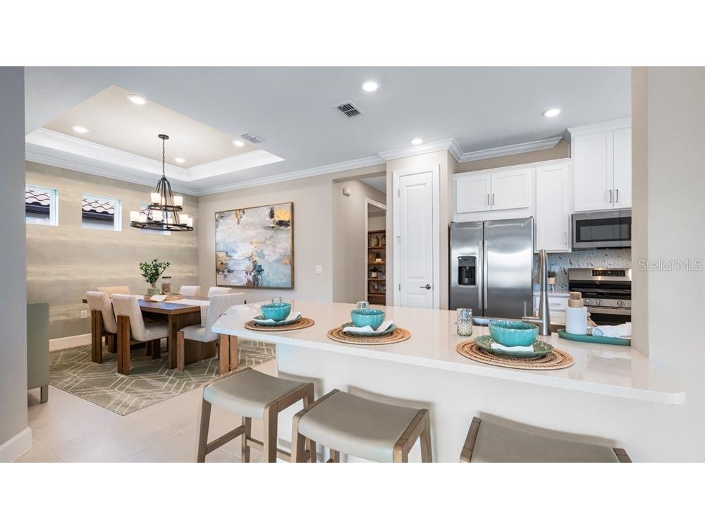 3887 Immacolata Way Wesley Chapel FL 33543 TB8488255 image7