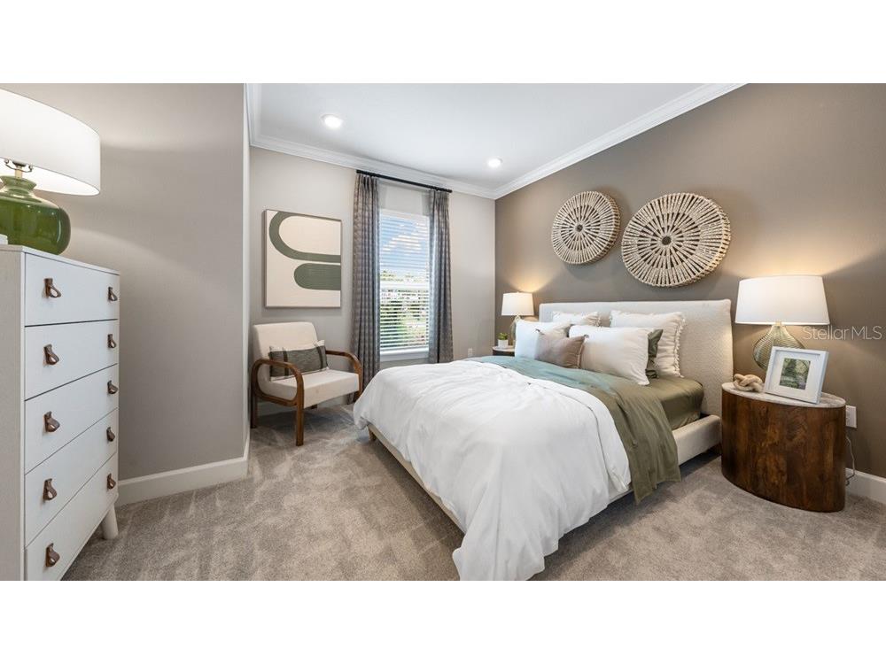 3887 Immacolata Way Wesley Chapel FL 33543 TB8488255 image9