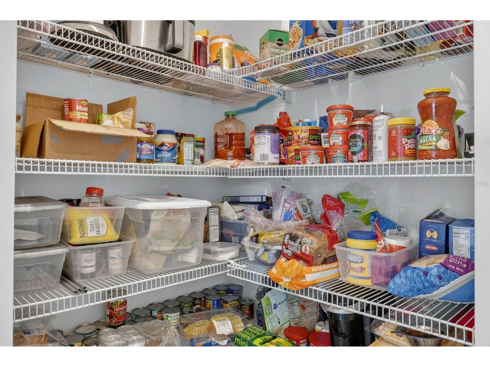 38870 Opal Willow Lane Zephyrhills FL 33540 TB8472319 image25