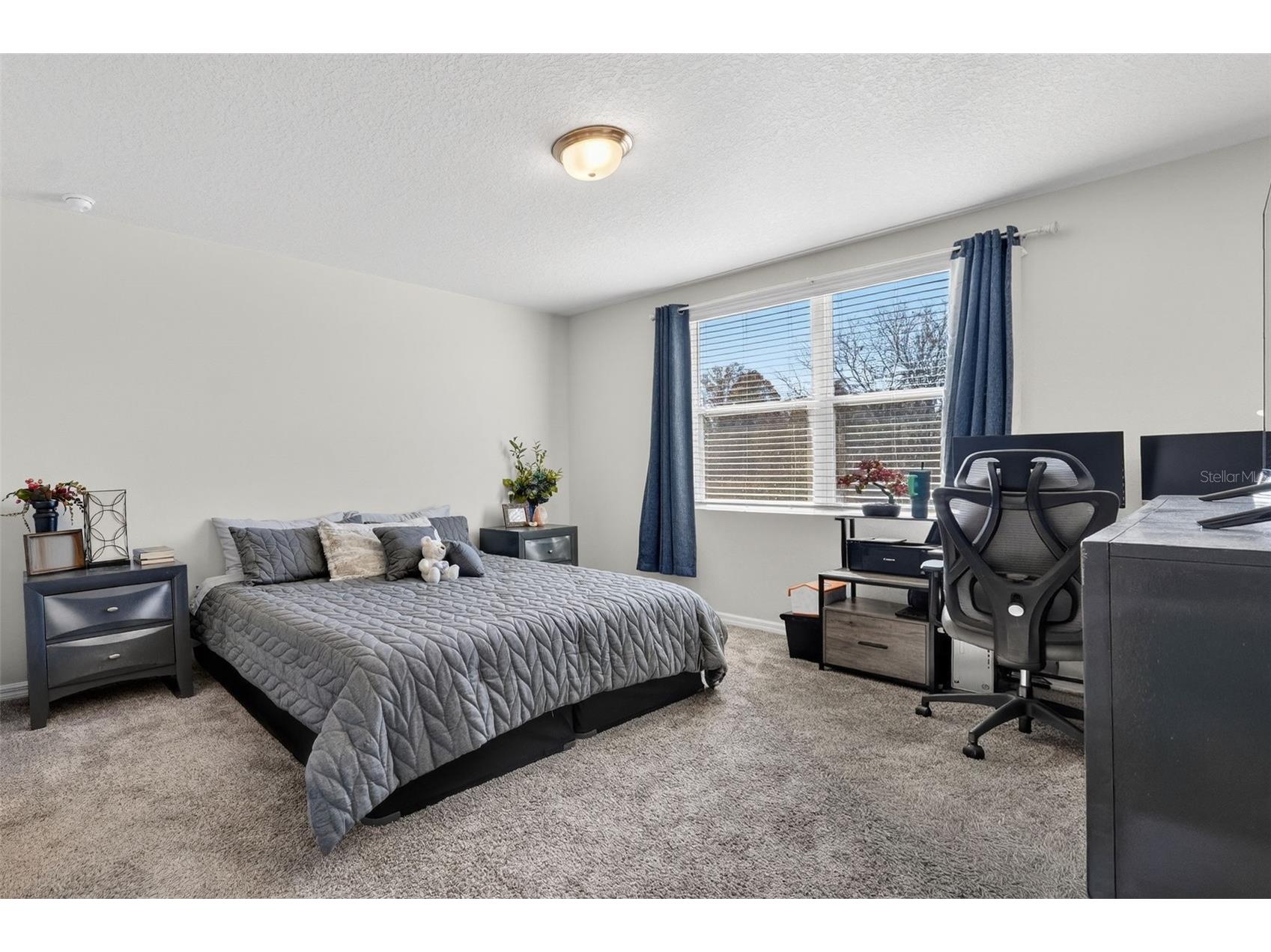 38870 Opal Willow Lane Zephyrhills FL 33540 TB8472319 image27