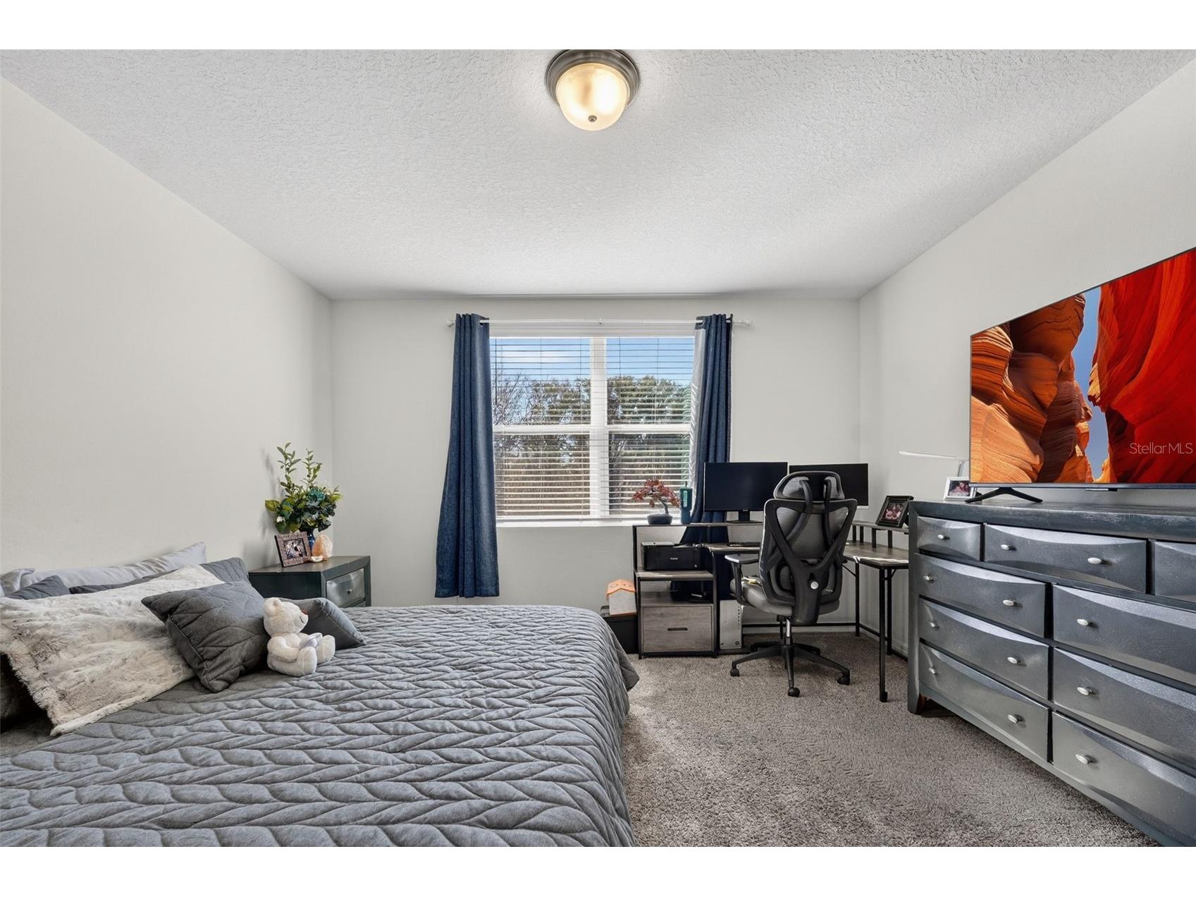 38870 Opal Willow Lane Zephyrhills FL 33540 TB8472319 image28