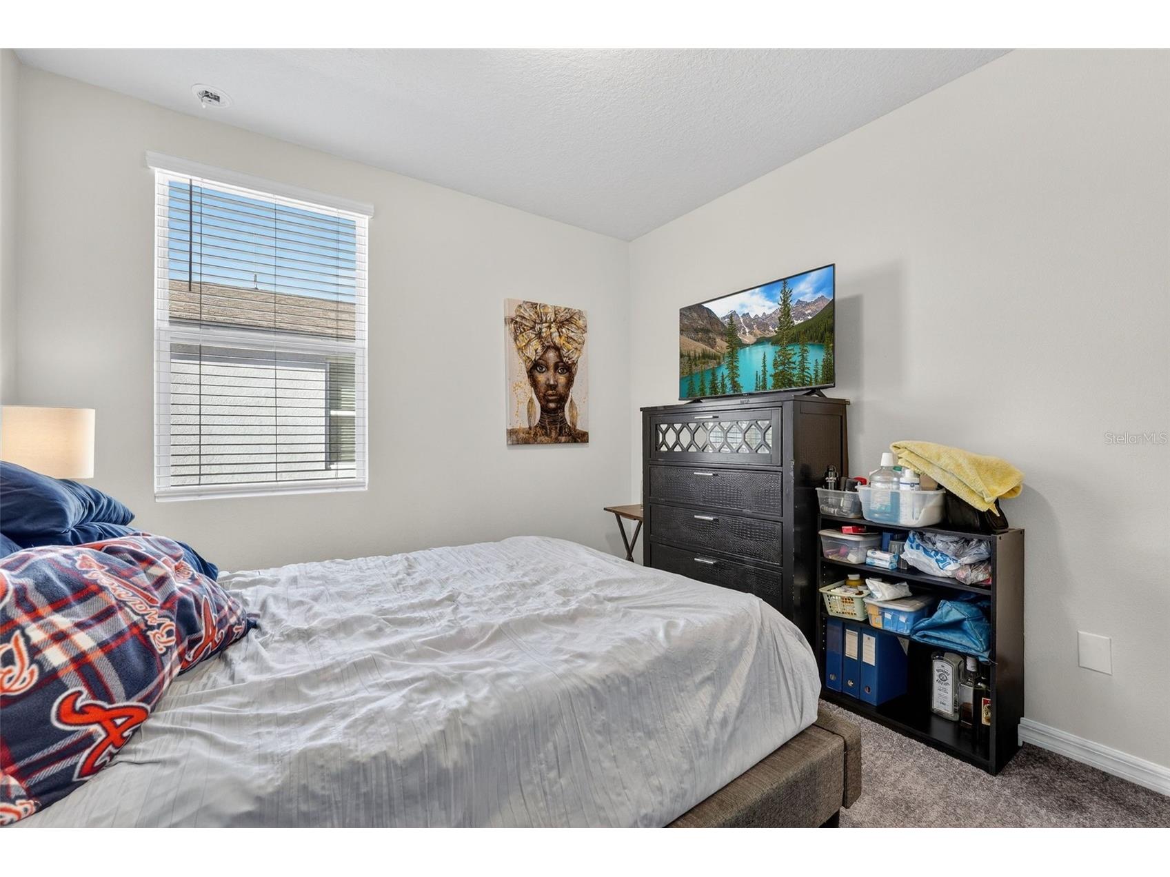 38870 Opal Willow Lane Zephyrhills FL 33540 TB8472319 image44