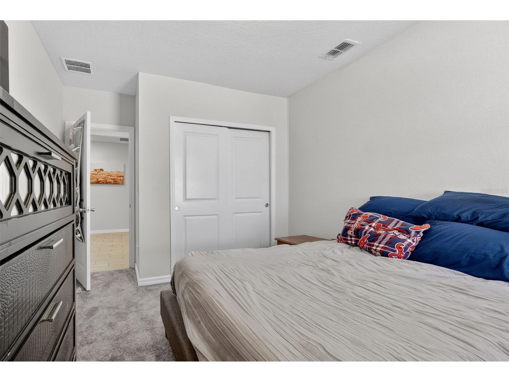 38870 Opal Willow Lane Zephyrhills FL 33540 TB8472319 image45